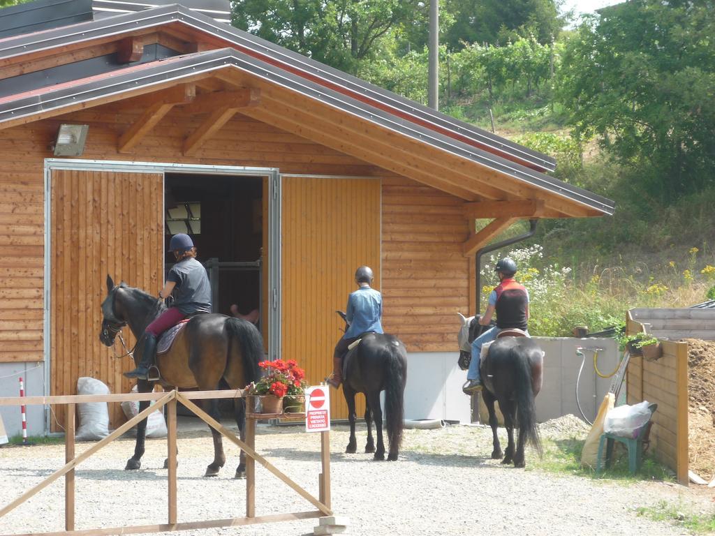 Dego Micro-Cottage In Pietra La Ratatouille المظهر الخارجي الصورة