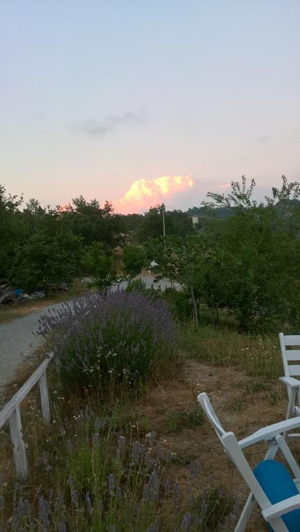 Dego Micro-Cottage In Pietra La Ratatouille المظهر الخارجي الصورة