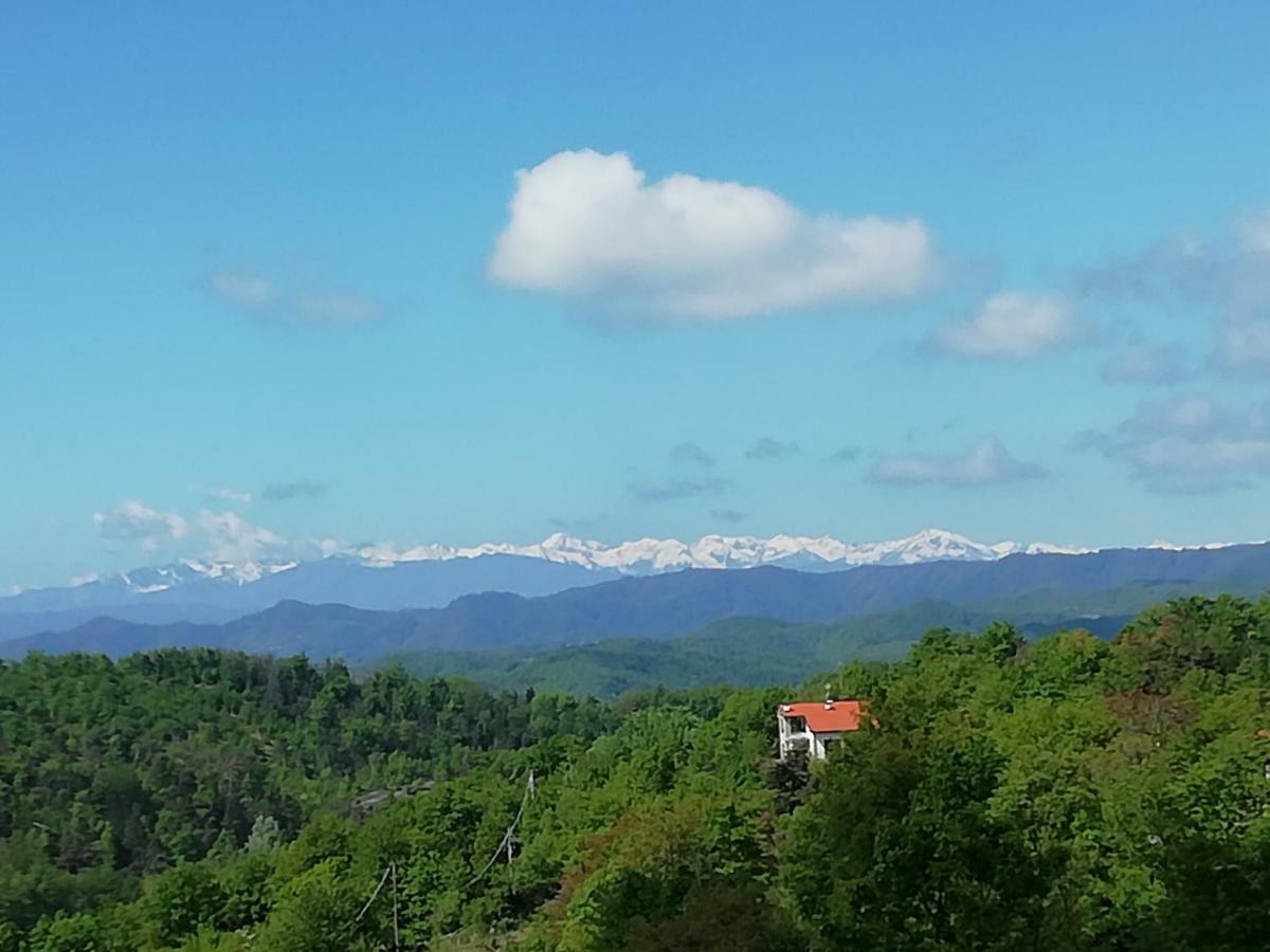 Dego Micro-Cottage In Pietra La Ratatouille المظهر الخارجي الصورة